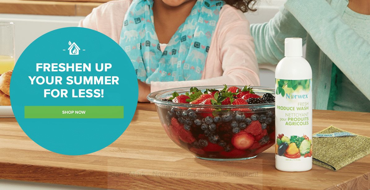 Norwex Review Norwex Entry Mat