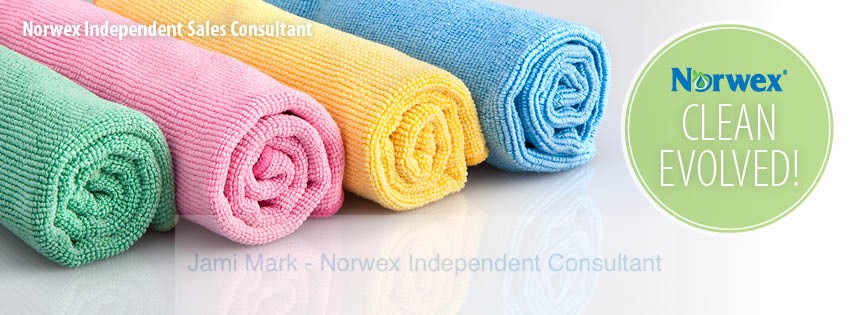 Norwex Enviro Cloth Clean With Just Water