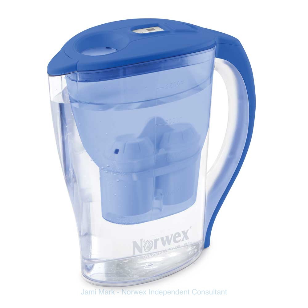 norwex water filtration system 2