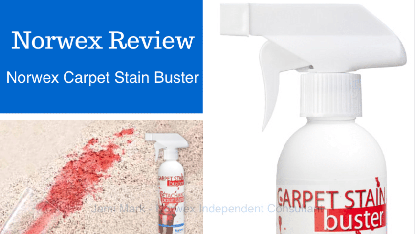 norwex carpet stain buster review