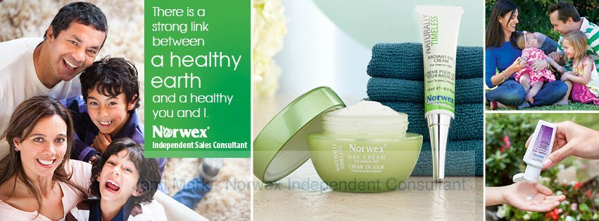 norwex products for you banner
