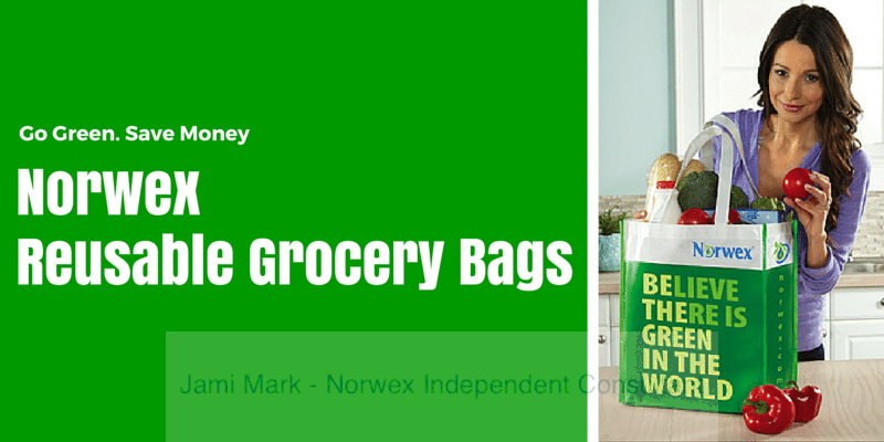Norwex Reusable Grocery Bag