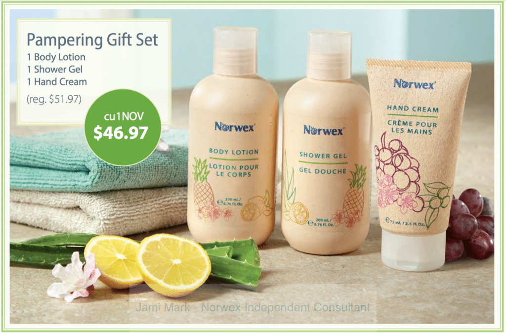 norwex pampering gift set