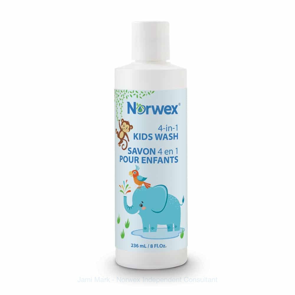 norwex4-in-1-kids wash