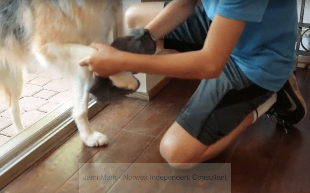 Norwex Pet Products Your pet will love these products (and you will too!)