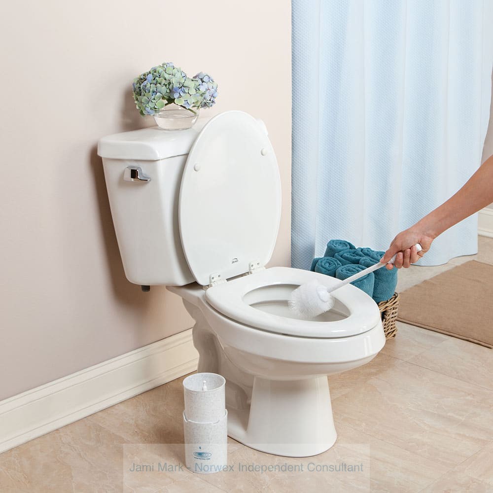 holiday-cleaning-norwex-toilet-brush