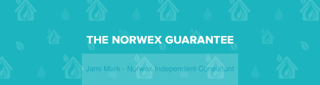 norwex-christmas-gifts-guarantee
