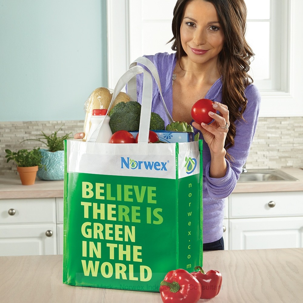 norwex grocery bag pitch the plastic