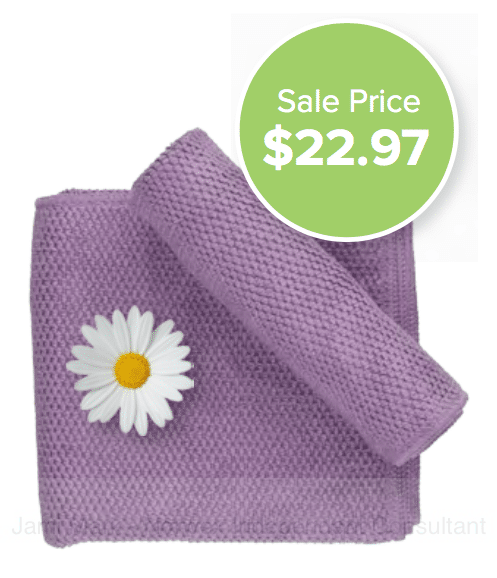 norwex kitchen cloth and towel limited edition