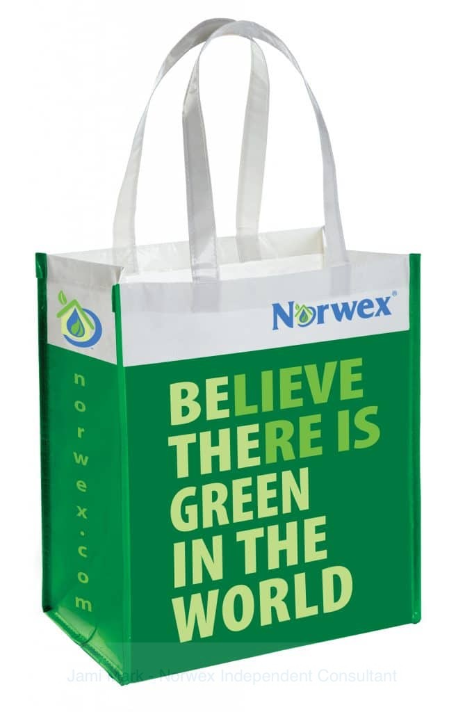 Norwex Pitch the Plastic reusable-grocery-bag-with-baclock