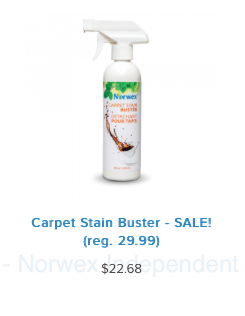 Carpet Stain Buster norwex sale