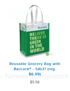 Reusable Grocery Bag norwex sale