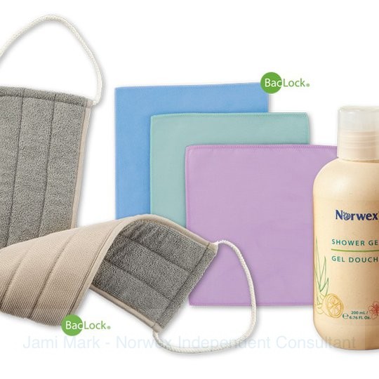 august 2018 norwex customer special 1
