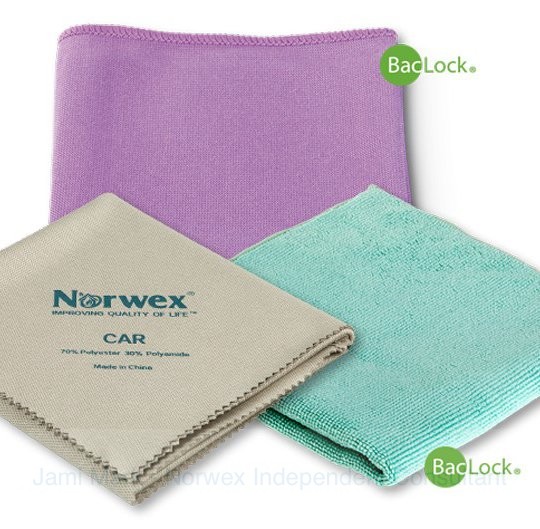 august 2018 norwex customer special 2