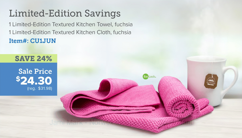June 2019 Norwex Specials limited edition order