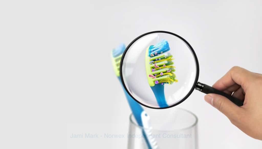 Antibacterial Norwex Toothbrush 