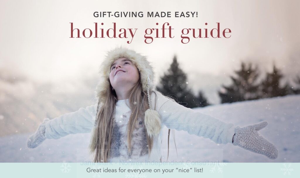 2022 Norwex holiday gift guide